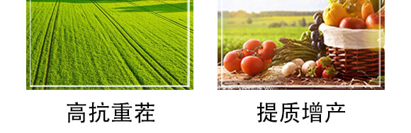 ���ܽ����@18-18-18-�����r(n��ng)�I(y��)_06