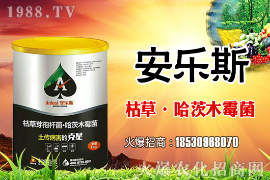 小麥種子是購買還是自留？小麥自留種子需要注意哪些內(nèi)容？