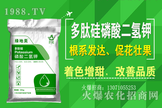 芹菜的優(yōu)良品種有哪些？芹菜種植生長環(huán)境（附種植技術）