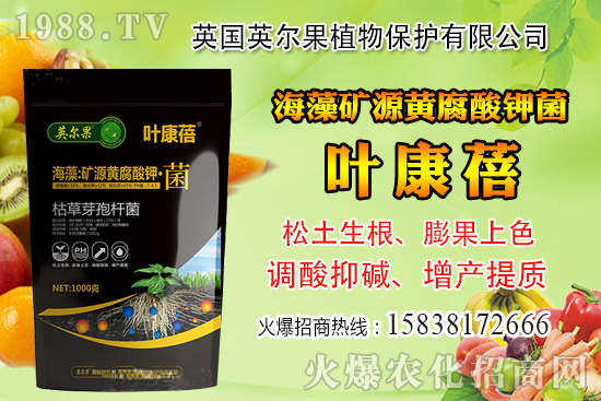 怎么判斷玉米含水量？玉米籽粒含水量感官判定經(jīng)驗(yàn)！