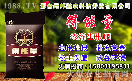 2020年小麥種子如何選？高產(chǎn)小麥品種有哪些？