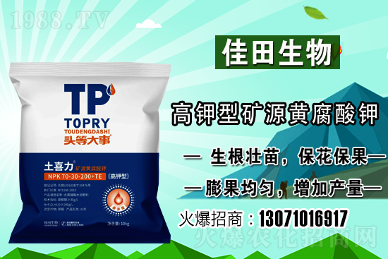 雪梨該怎樣種植？雪梨的種植時(shí)間和方法！