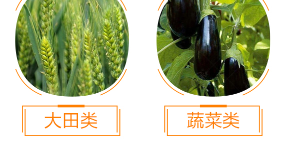 ������������-���r����(y��u)ؐ-���r����_11