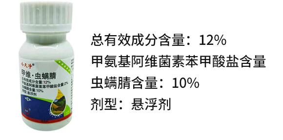 12%�׾S���x����-�����-������_02