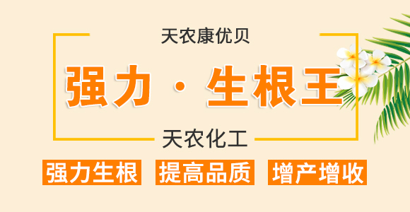 ������������-���r����(y��u)ؐ-���r����_01