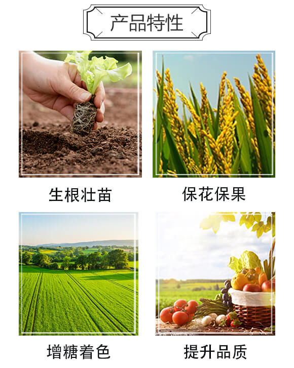 ø���~����ԭ�{-ϲ�~��20kg��-��ķɳ_03