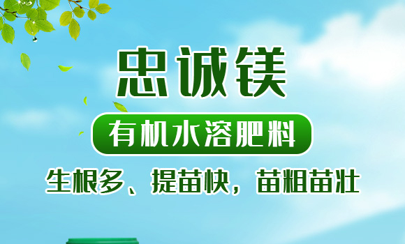 �ЙC(j��)ˮ�ܷ���-���\(ch��ng)�V-�����r(n��ng)_01