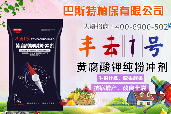 新品上市，定金翻倍！1000定金抵2000，超值優(yōu)惠，限時(shí)搶定...