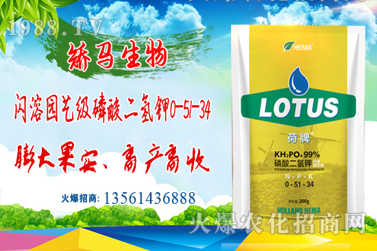 ⛷ʃr(ji��)���ů��11��15��⛷ʃr(ji��)������