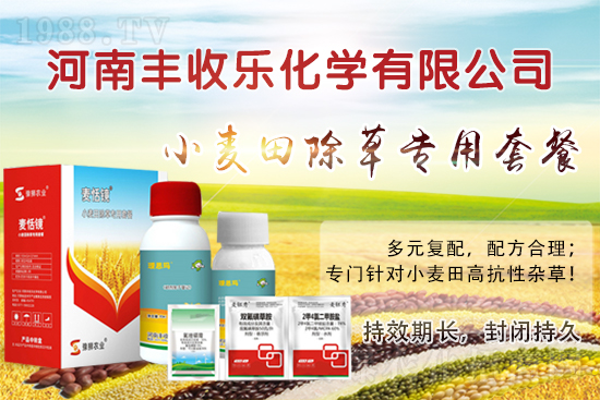 小麥田怎樣除草更？該怎么選用除草劑？