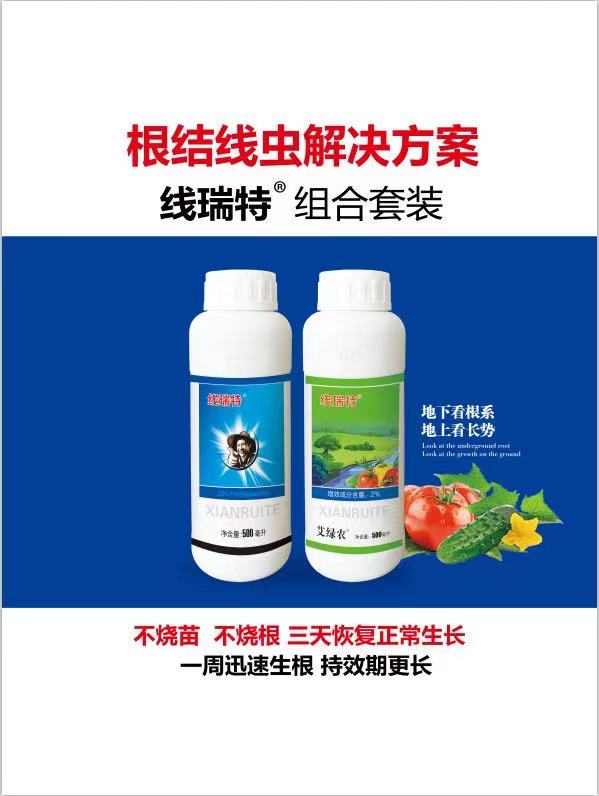 QQ�DƬ20210221165702