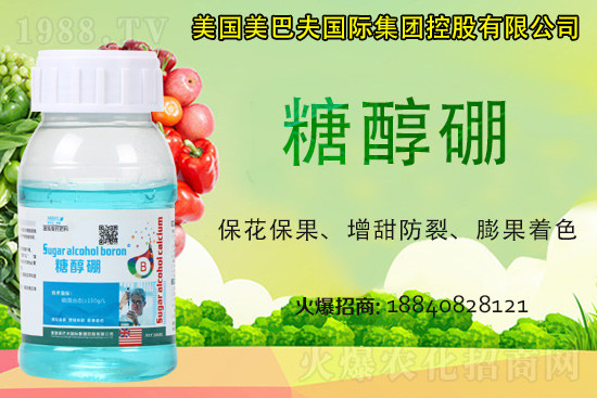 ���յ��ȶ����Xһ�2021�굾�ȃr(ji��)���Ƿ�߀��(hu��)�q��