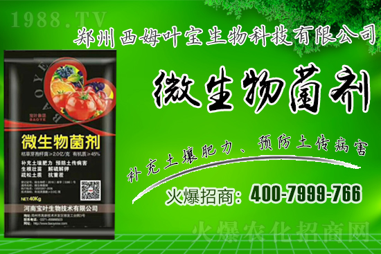 �����m��¶��������߲�Ʒ�N����Щ������Щ�Nֲע�����(xi��ng)��