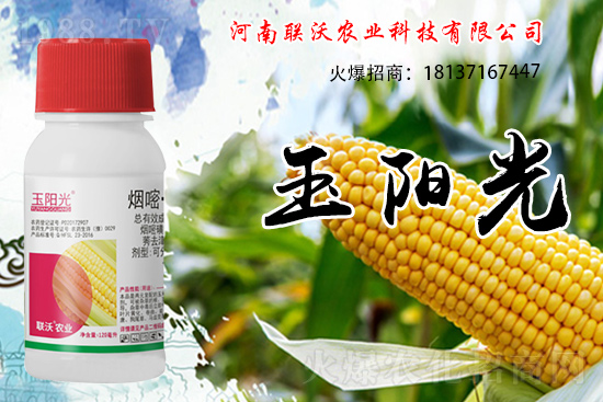 ���׳��ݞ�ʲô�x����������������݄���δ�