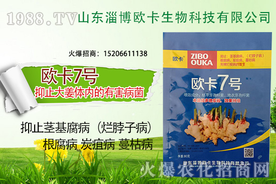 �W�������ٺ�1988.TV������(sh��)�F(xi��n)��I(y��)�v�w����