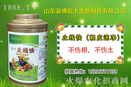 �W�������ٺ�1988.TV������(sh��)�F(xi��n)��I(y��)�v�w����
