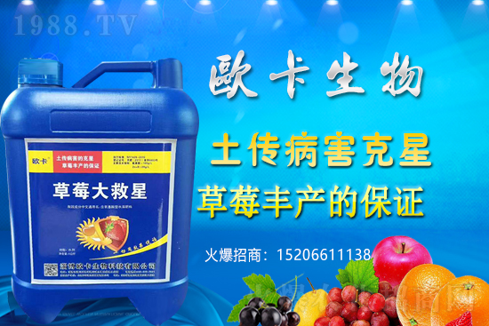 �W�������ٺ�1988.TV������(sh��)�F(xi��n)��I(y��)�v�w����