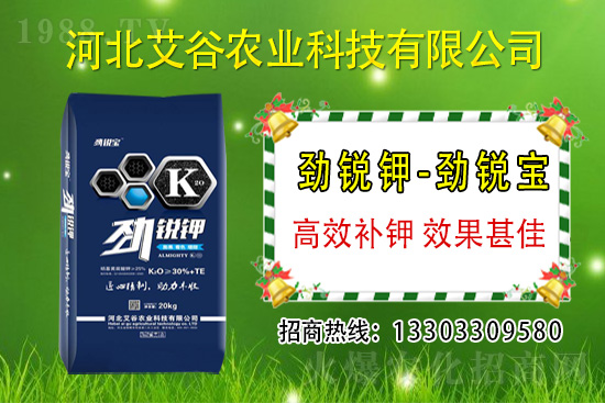 2021��6��1�Շ���(n��i)⛷ʃr���߄ݷ���