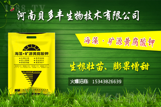 果樹黃化的原因是缺鐵嗎？果樹黃化噴施硫酸亞鐵怎么樣？