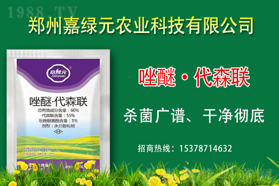 ����������(j��)���ξGԪ�r(n��ng)�I(y��)�ٺ�1988.TV������(chu��ng)���x����