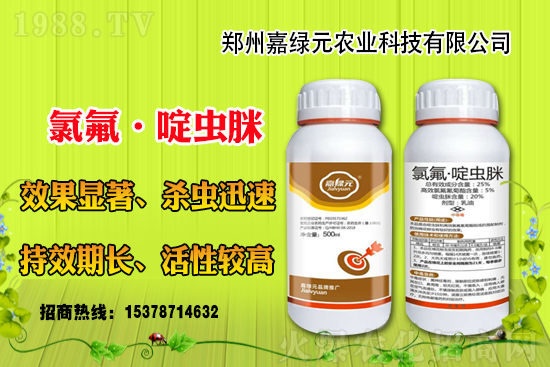 ����������(j��)���ξGԪ�r(n��ng)�I(y��)�ٺ�1988.TV������(chu��ng)���x����