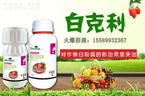 ��(gu��)�|���m(x��)�s1988.TV����(zh��n)�Ժ����P(gu��n)ϵ�������_(t��i)�A��