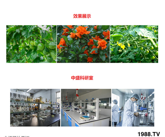 ���������ͺ���ֲ��ˮ�ܷ� ��ؾ��A �r(n��ng)������4