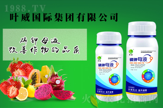 鉀肥高位盤整，2021年9月7日鉀肥價格行情