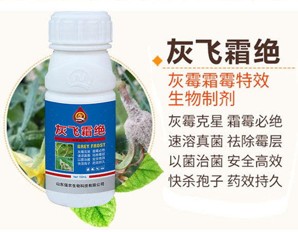 ���w˪�^-��(qi��ng)�r(n��ng)����_02