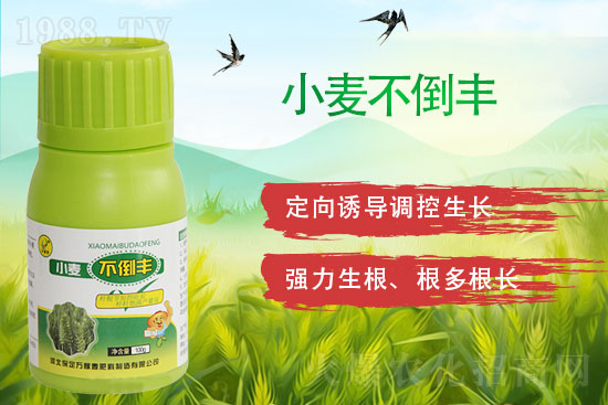 2022年2月4日氰氟草酯除草劑價格