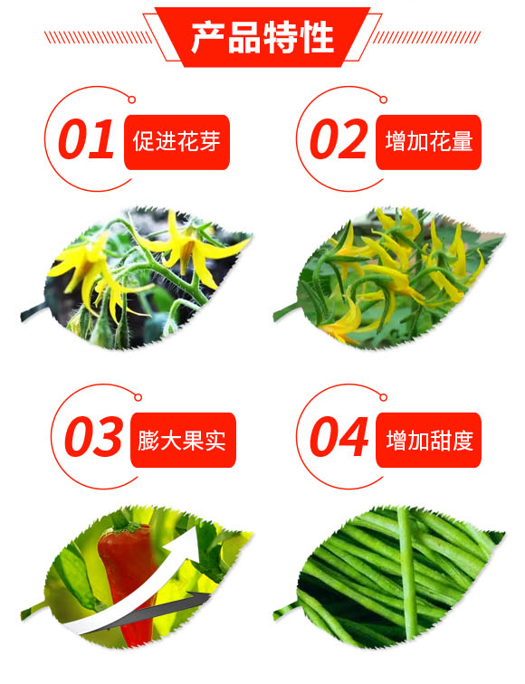 ������-�ֳ�Ԫ_03