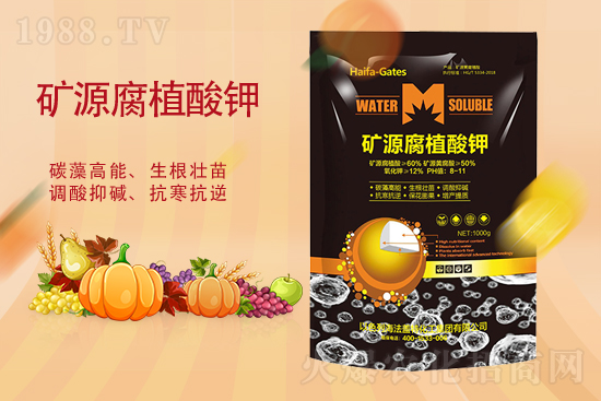 鉀肥價格能再漲嗎？2月19日各地鉀肥價格