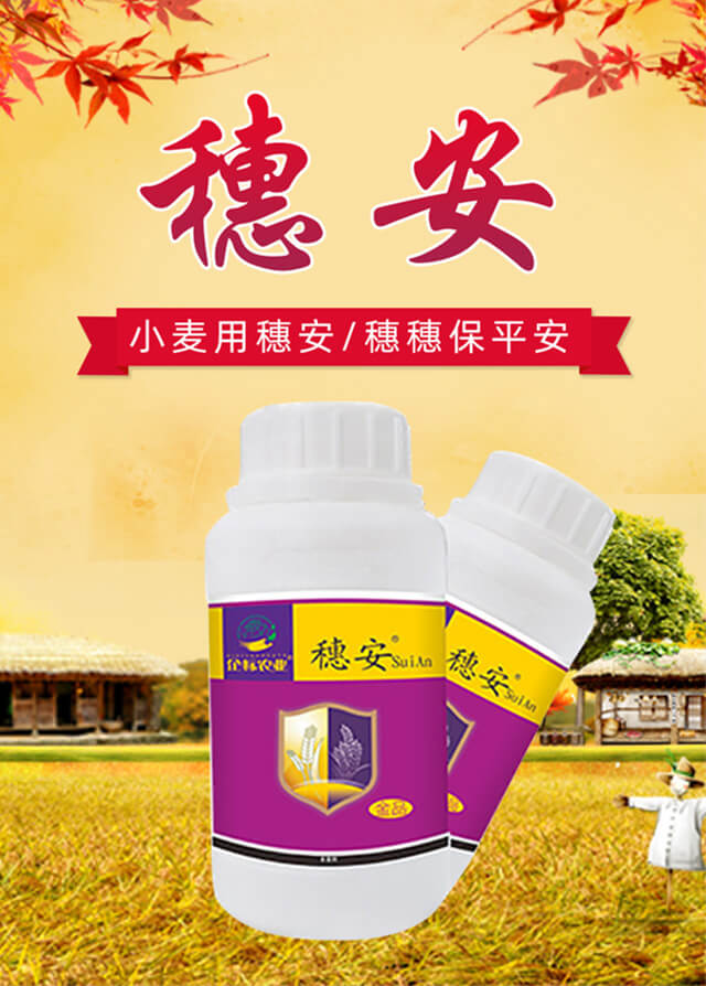 �밲-���(bi��o)_01