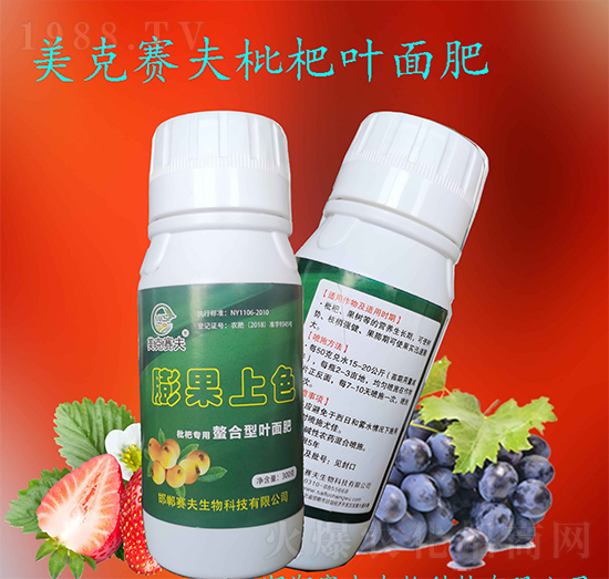 ���ˌ����������~���-�����ɫ-����ِ��2