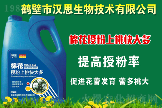 �޻��Nֲ��ô�������޻������L�ڹ���Ҫ�c