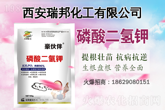     近期國(guó)內(nèi)鉀肥價(jià)格市場(chǎng)行情分析（4月21日）