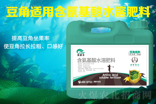 豆角需肥特性是什么？豆角怎么施肥才能提高產(chǎn)量？