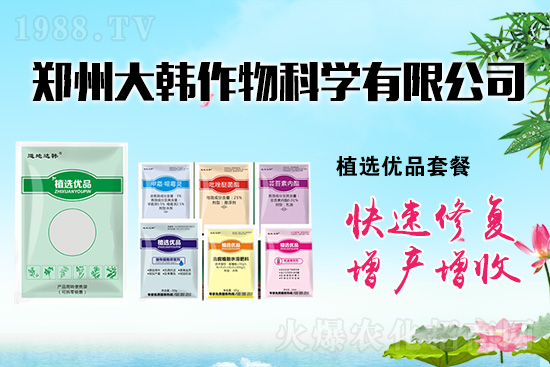 作物藥害肥害頻發(fā)怎么辦？發(fā)生藥害肥害如何補救？