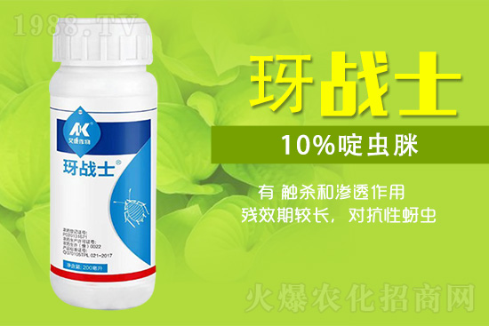 早春蚜蟲很容易大爆發(fā)，怎么避免黃瓜蚜蟲危害？