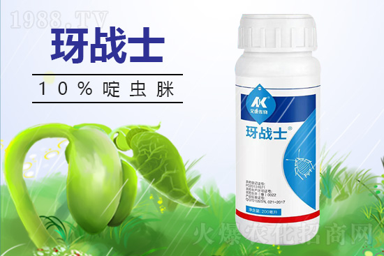 早春蚜蟲很容易大爆發(fā)，怎么避免黃瓜蚜蟲危害？