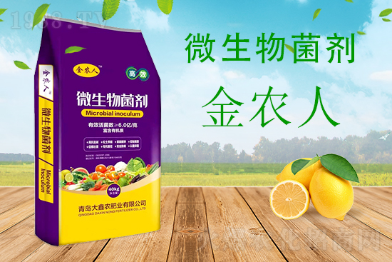 甜瓜枯萎病危害期，怎么有效防治？