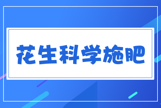 �����ƌW(xu��)ʩ��