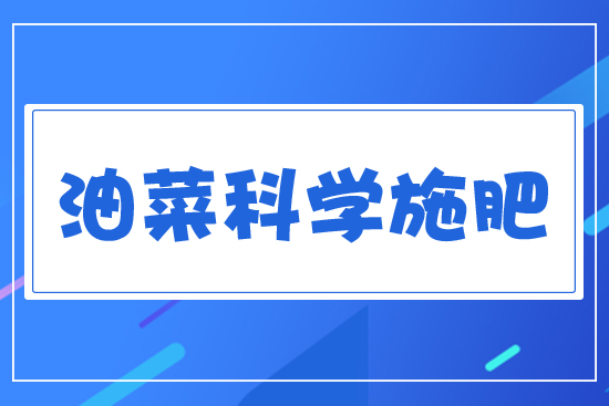 �Ͳ˿ƌW(xu��)ʩ��