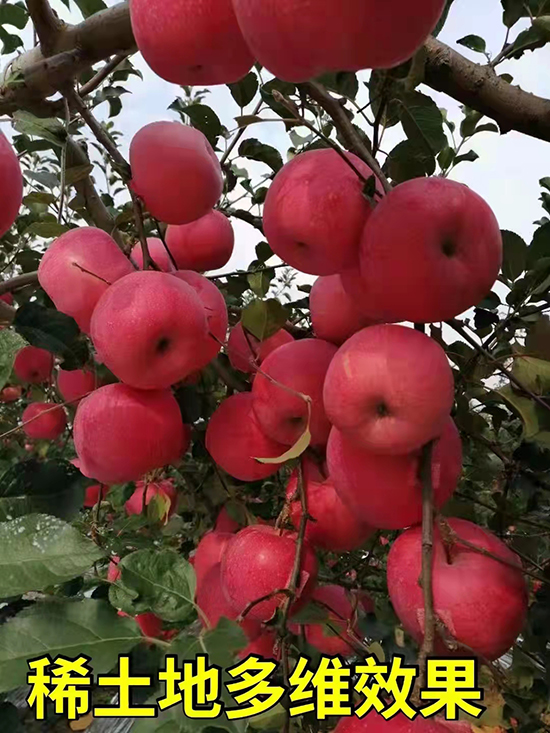 �ض�S8
