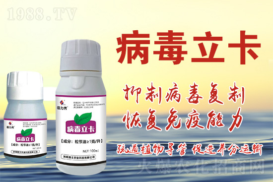 �ƽ�ֲ�ﲡ�������y�}�����ٻ֏�(f��)���C���@��ˎ���Ͼ͹�����