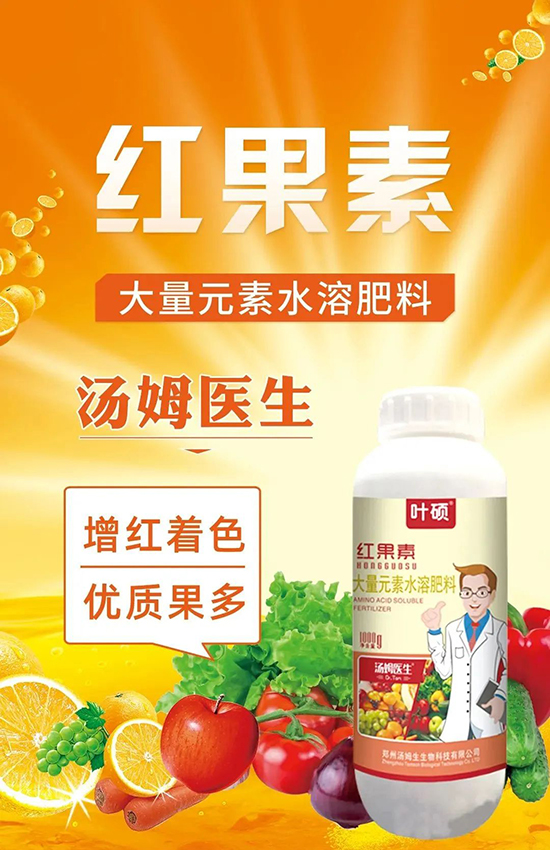 �t���ء�ֻ���D(zhu��n)ɫ�������D(zhu��n)ɫ���������߼t���ó