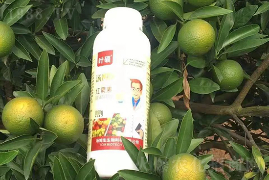 �t���ء�ֻ���D(zhu��n)ɫ�������D(zhu��n)ɫ���������߼t���ó