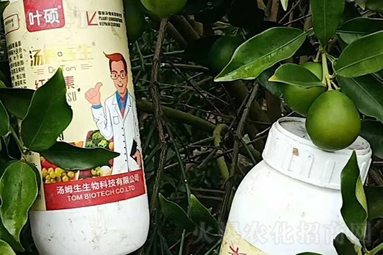 �t���ء�ֻ���D(zhu��n)ɫ�������D(zhu��n)ɫ�����ߣ��߼t���ó���