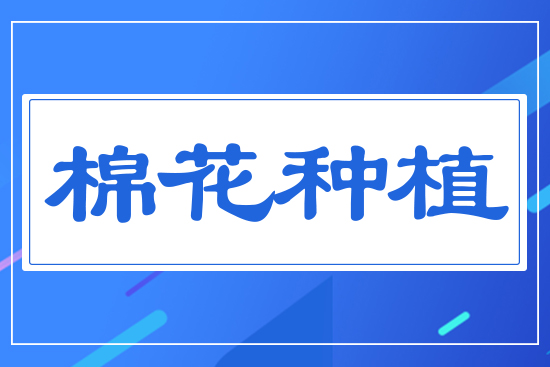 �޻��Nֲ