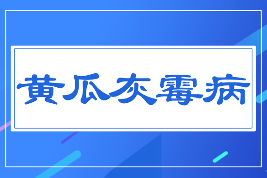 �S�ϻ�ù��